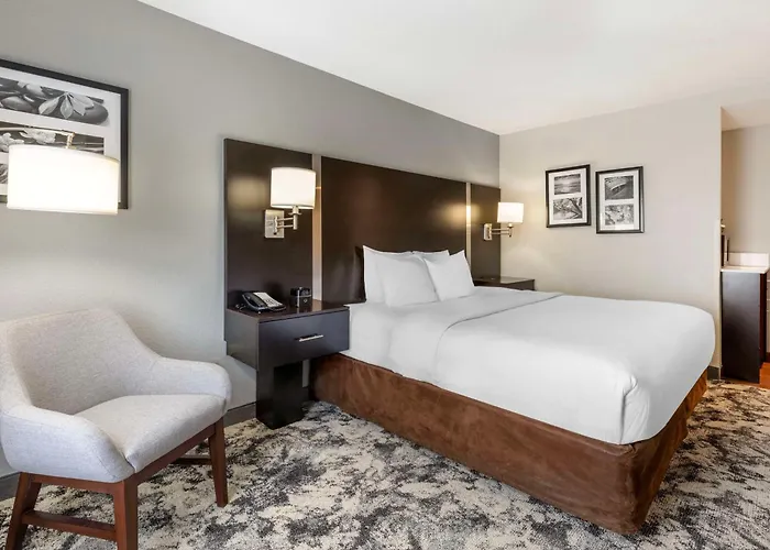 Best Western Plus Fairburn Atlanta Southwest